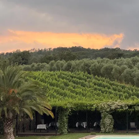 I Tre Fossi * Magliano in Toscana